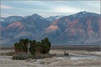 Saline valley hot springs