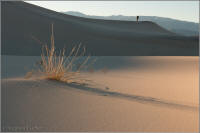 Eureka Dunes